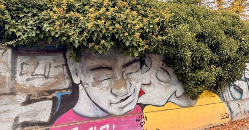 Ein Beispiel aus dem traditionellen Auszeit-Berlin-Fotowettbewerb Zu sehen ist eine bemalte Mauer in Berlin. Darauf sind ein Männer- und ein Frauenkopf abgebildet. Die Büsche auf der Mauer sehen aus wie Haare.