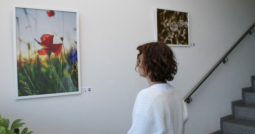 Eine Frau betrachtet ein Foto von einer Mohnblume