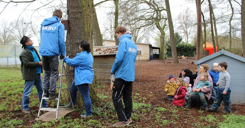 Gespannt verfolgen die Kinder des Naturkindergartens mit Viktoria Orban-Radics und Leiterin Anja Llorca (v.li.) wie Frank Gröhl, Hannes Luckenbill, Marinela Gröhl und Moritz Drescher vom Nabu einen Blaumeisen-Nistkasten anbringen. Ein Mann mit blauer Jacke und der weißen Aufschrift "Nabu" steht auf einer Leiter und bringt an einem Baum einen Nistkasten an. Um ihn herum stehen eine Frau und zwei Männer vom Nabu. Kitaleiterin Anja Llorca und Viktoria Orban-Radics kauern mit einigen Kindern am Boden und beobachten die Aktion.