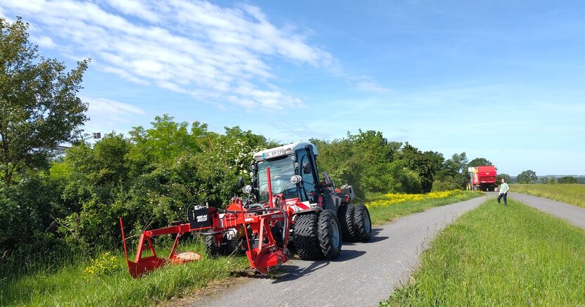 Mähtraktor vor einer großen Fläche mit Glattem Zackenschötchen Ein großer Mähtraktor mäht seitlich von einem Deichweg Pflanzen ab.