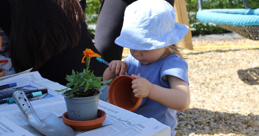 Mit voller Konzentration wurden Blumentöpfe bemalt. Ein kleines Mädchen mit Sonnenhut bemalt mit einem Filzstift einen Blumentopf. Vor ihr stehen auf einem Tisch eine Pflanze mit oranger Blüte und eine Gartenschaufel.
