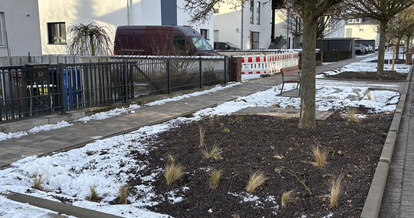 Neue Pflanzflächen in der Heinrich-Heine-Straße Zu sehen sind neue Beete in der Heinrich-Heine-Straße mit einem Baum und Schneeresten.