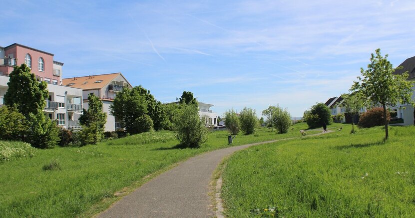 Die Wärmeversorgung im Quartier Am Hohen Weg steht vor einer Neuausrich-tung Links und rechts eines Fußweges sind Wiesen und Bäume einer Parkanlage zu sehen, dahinter kommen auf beiden Seiten Häuser des Quartiers "Am Hohen Weg".