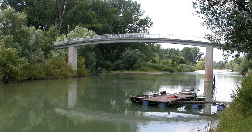 Auch am Althrein in Erfelden wird Müll eingesammelt. Zu sehen ist der Altrhein in Erfelden, über den eine Fußgängerbrücke geht. Die Ufer auf beiden Seiten sind mit Büschen bewachsen.